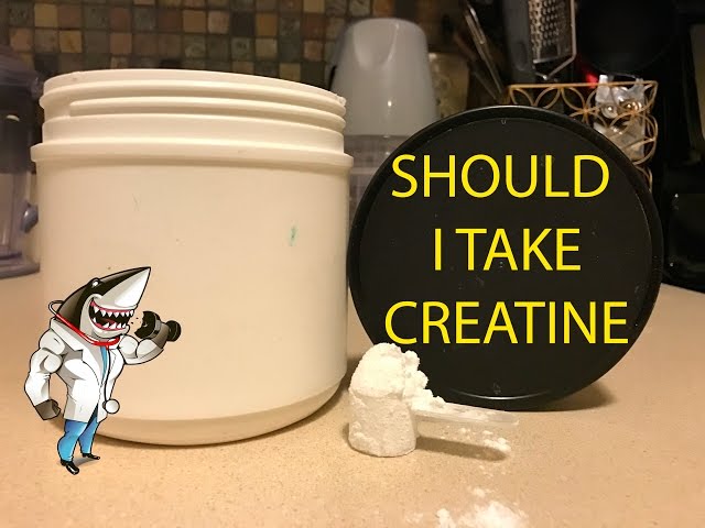 Creatine monohydrate with ironsnack shark